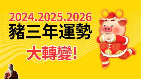 1971屬豬2024運勢|2024年属猪人的全年运势 属猪2024年每月运程宋韶光